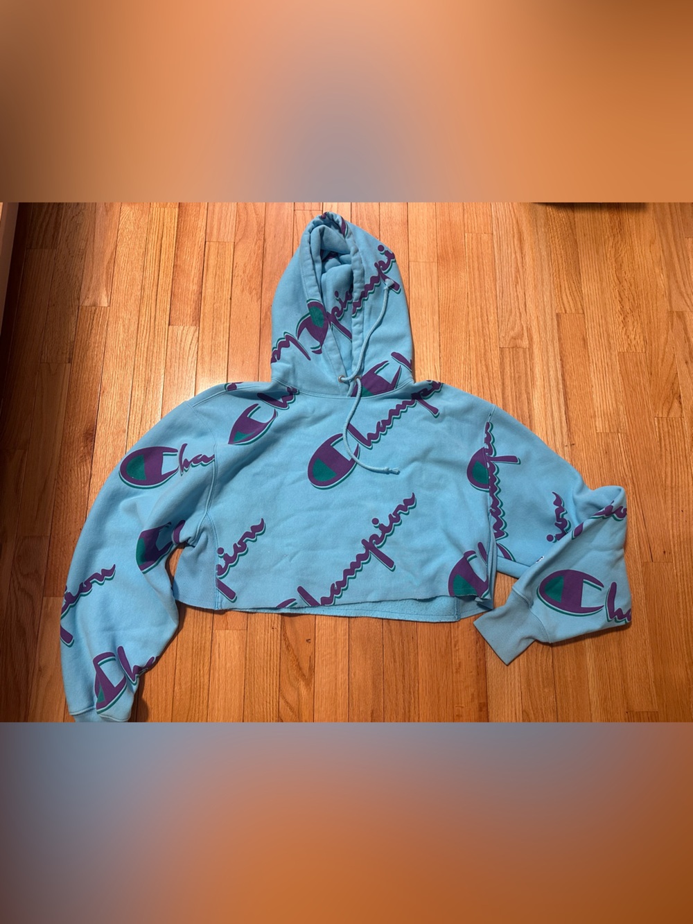 Champion Cropped Hoodie in Blue with Purple Logos Large